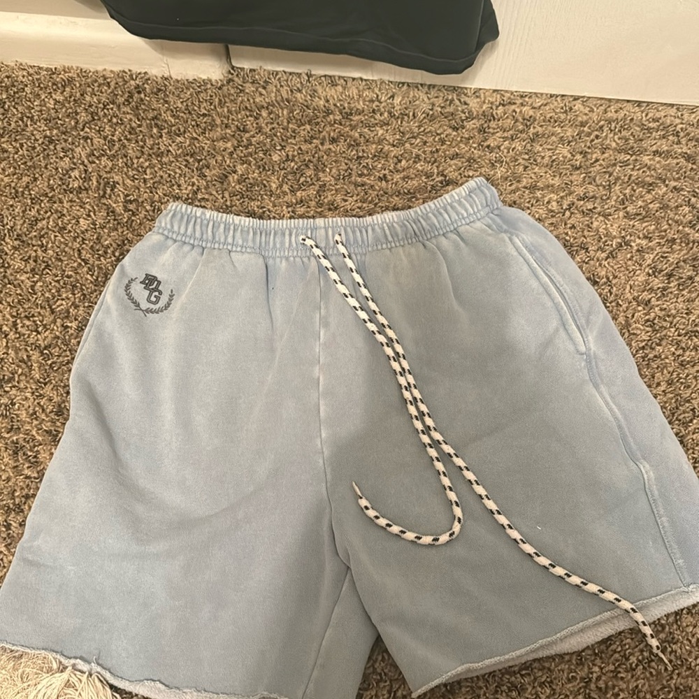 Blue Urban Outfitters Sweat Shorts: Worn Once